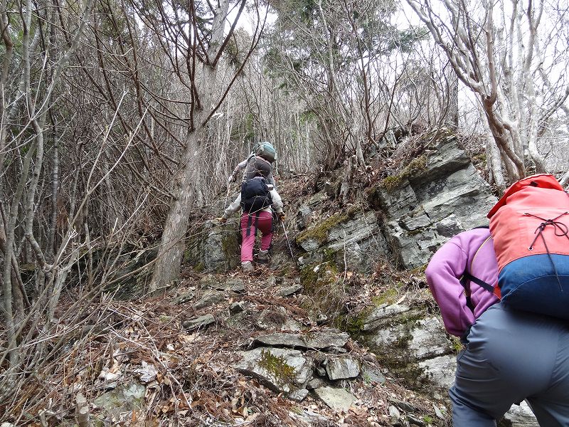 津志嶽　大屋内　鉄塔保線路　登山口から_b0124306_21571944.jpg