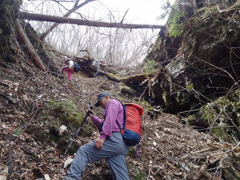 津志嶽　大屋内　鉄塔保線路　登山口から_b0124306_22272426.jpg