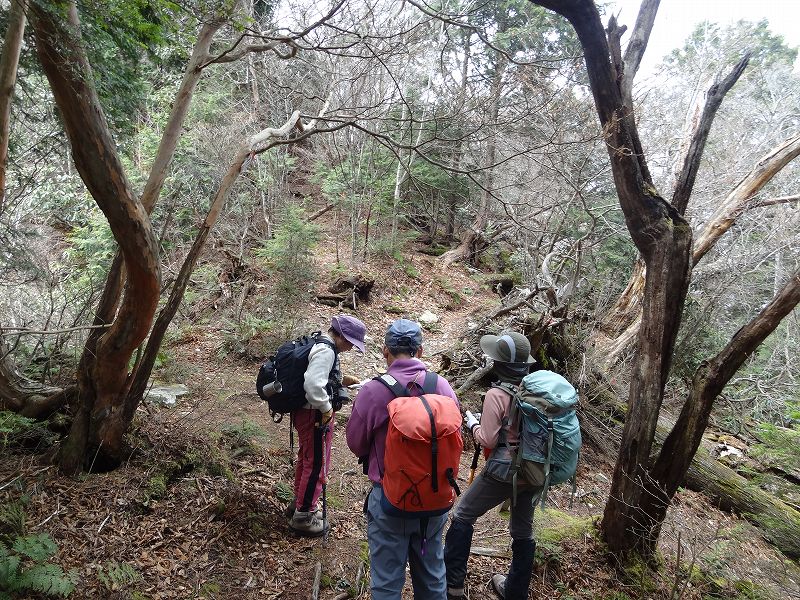 津志嶽　大屋内　鉄塔保線路　登山口から_b0124306_22341061.jpg