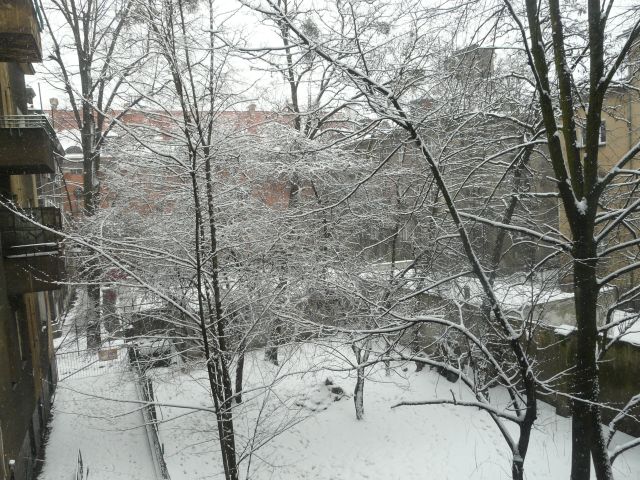 e0039206_18524827.jpg