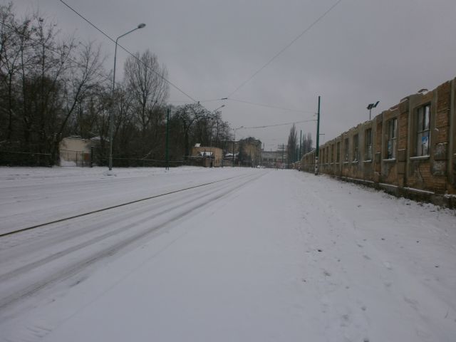 e0039206_18532072.jpg