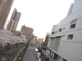 c0141011_1119837.jpg