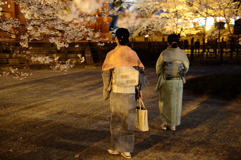 東寺　夜桜ライトアップ・其の一_f0032011_19362078.jpg