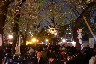 夜桜＠靖国神社_c0200917_1312323.jpg