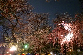 夜桜＠靖国神社_c0200917_13381598.jpg