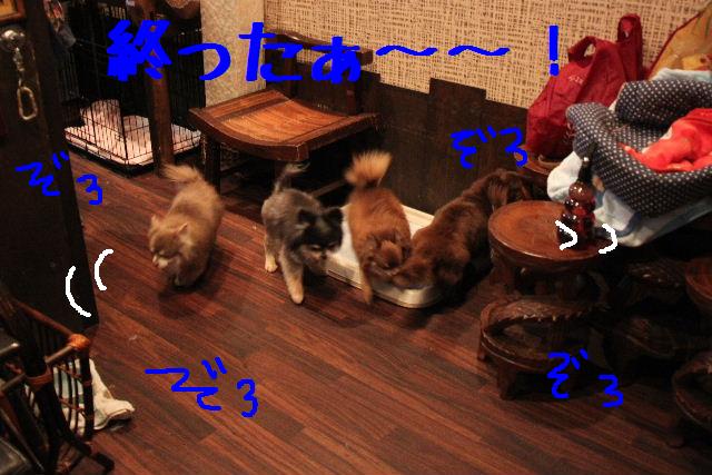 今日は何の日？_b0130018_23222741.jpg