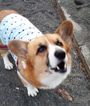 e0070318_2012580.jpg