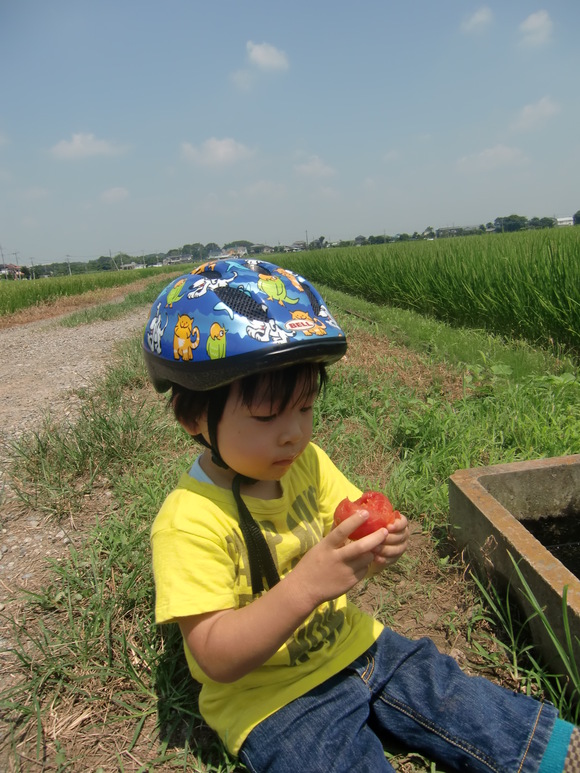 e0240129_1436479.jpg
