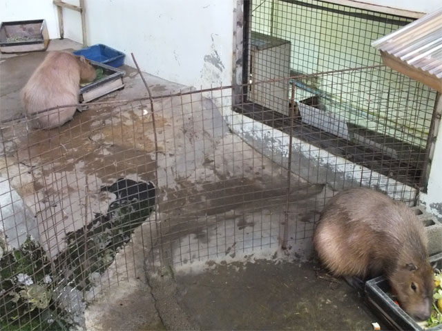 春なのに_a0179837_1943361.jpg