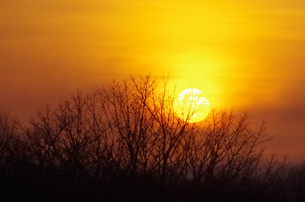 b0247838_20122667.jpg