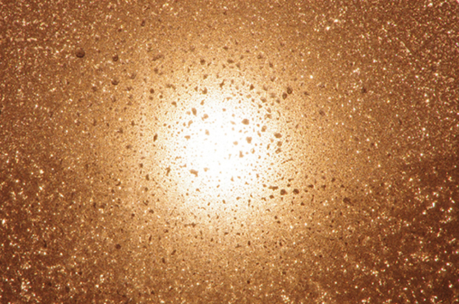b0247838_20273637.jpg