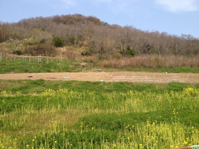 b0057140_013755.jpg