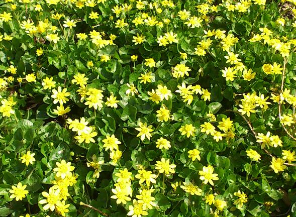 e0291042_11495914.jpg