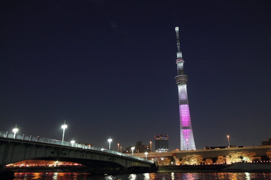 c0199146_6582846.jpg