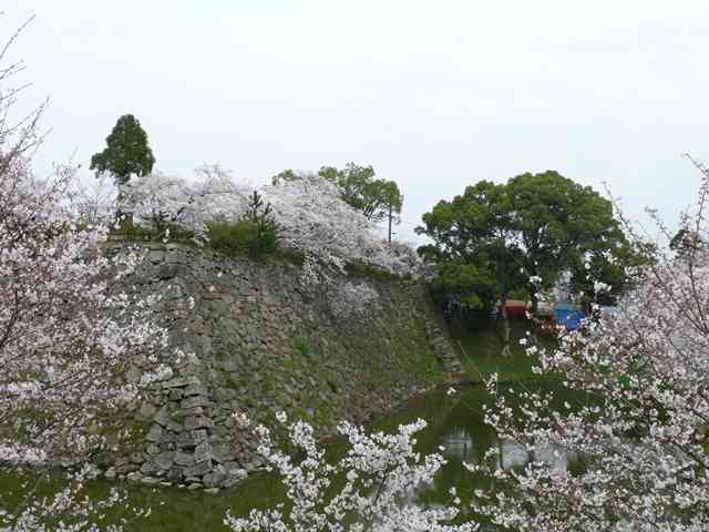 お城祭り２_f0089748_953342.jpg