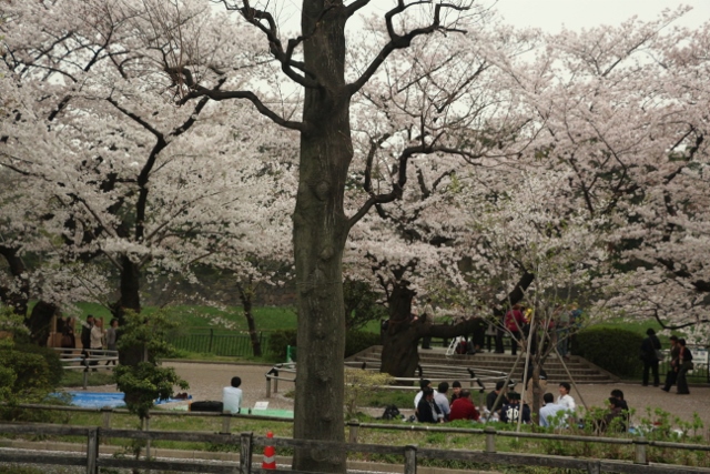 東京見物ツアー_e0117950_23263188.jpg