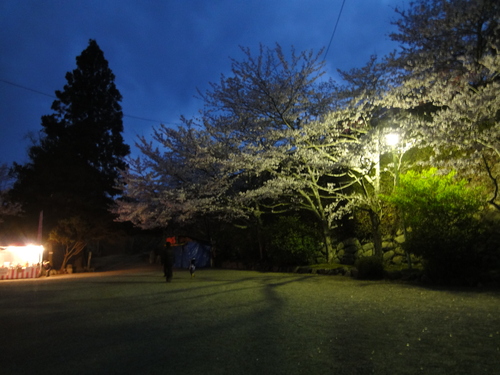 ドリマ体験と夜桜見物_f0229451_61597.jpg