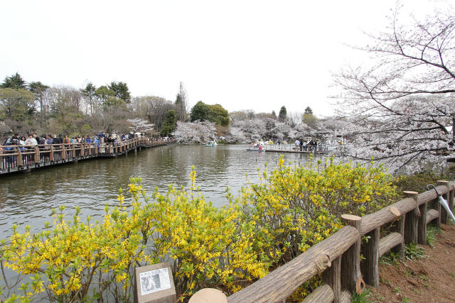 2階リビングの居心地～アケイシャいのがしら完成見学会～_c0127058_2046546.jpg