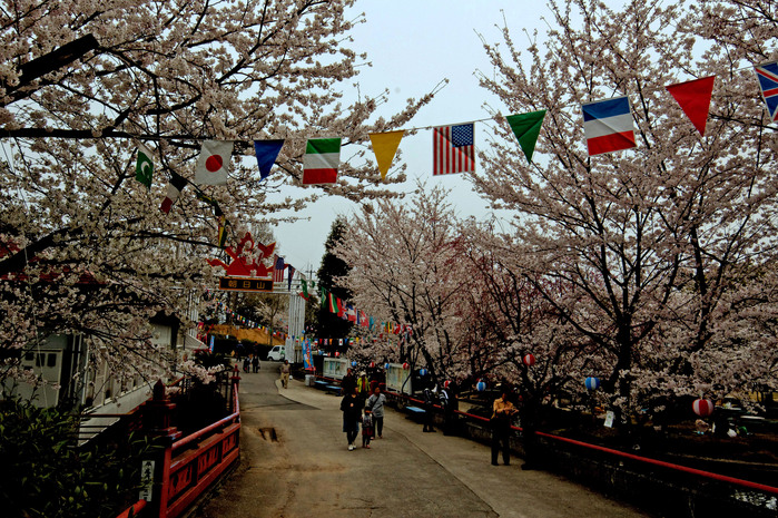 朝日山森林公園の気に入ったワケ１_e0261558_14311774.jpg