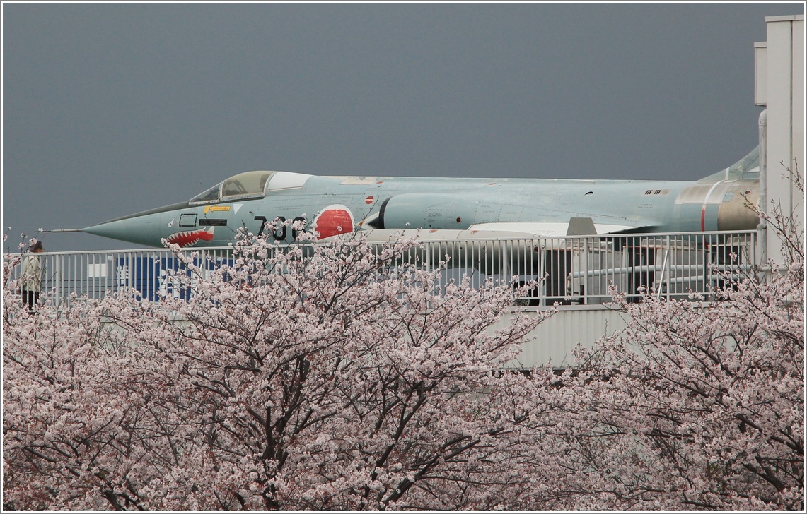 桜の上を飛ぶF-104戦闘機♪_a0167759_2347446.jpg