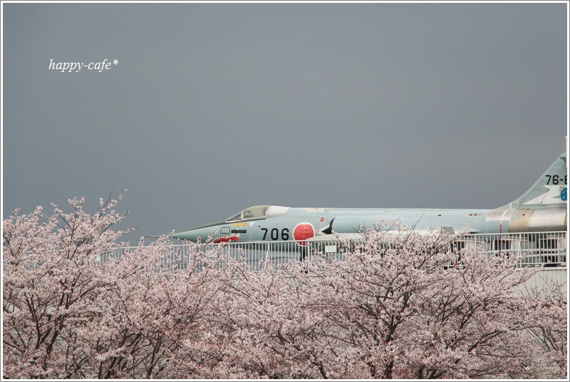 桜の上を飛ぶF-104戦闘機♪_a0167759_2393376.jpg