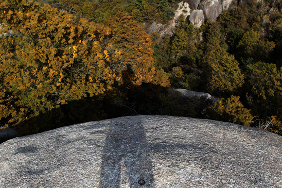 f0268259_2213197.jpg