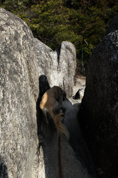 f0268259_221533.jpg
