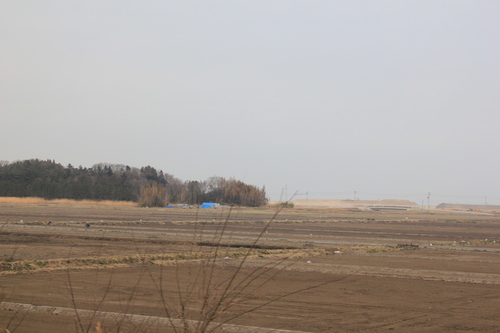 被災地を歩いて_d0202264_22462898.jpg