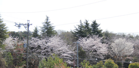 f0185066_9373742.jpg