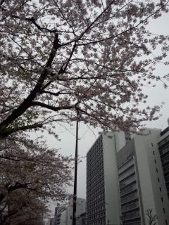 飯田橋　不二家のペコちゃん焼_f0112873_022501.jpg