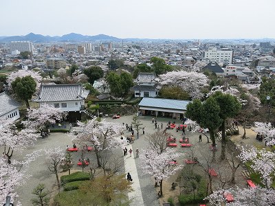 a0235077_20472128.jpg