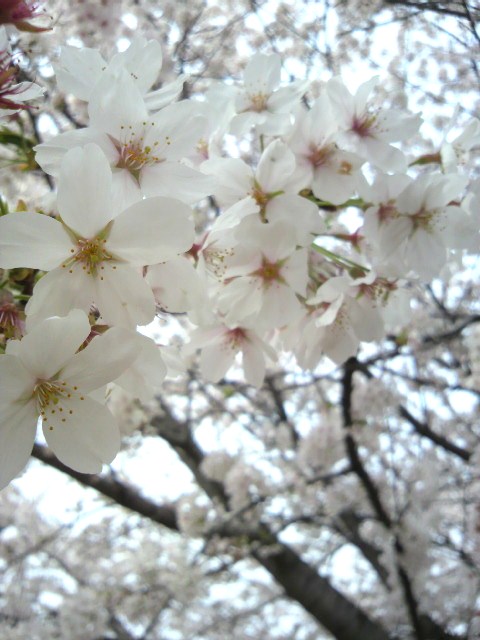 c0198685_14151097.jpg