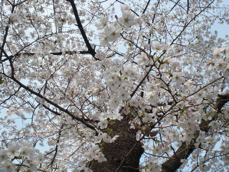 c0013687_20491661.jpg