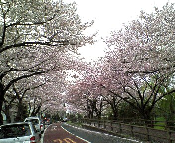 c0014187_10513845.jpg