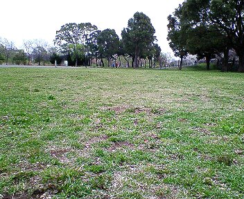 c0014187_10541679.jpg
