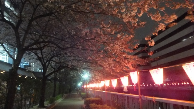 c0236288_95169.jpg