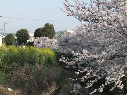 b0230589_19520.jpg