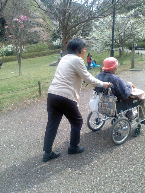 鎌倉施設 花見_a0135191_1032112.jpg
