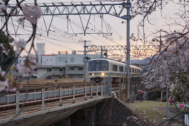 藤田八束：鉄道の旅、美しい夙川の桜と鉄道、美しい桜と鉄道、春爛漫桜と阪急電車、写真ベストポジション_d0181492_22143644.jpg