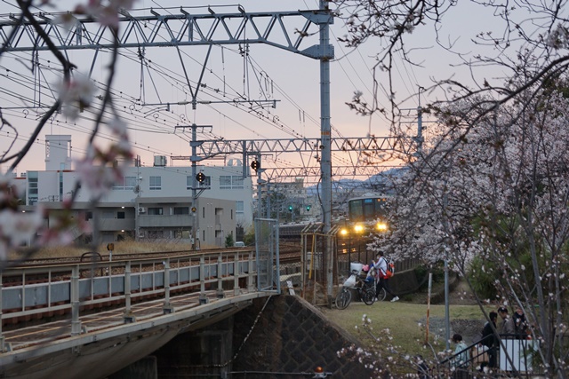 藤田八束：鉄道の旅、美しい夙川の桜と鉄道、美しい桜と鉄道、春爛漫桜と阪急電車、写真ベストポジション_d0181492_22165937.jpg