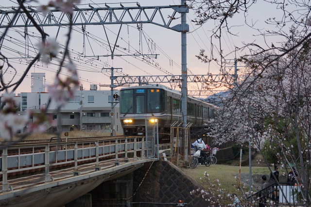 藤田八束：鉄道の旅、美しい夙川の桜と鉄道、美しい桜と鉄道、春爛漫桜と阪急電車、写真ベストポジション_d0181492_22171870.jpg