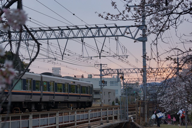 藤田八束：鉄道の旅、美しい夙川の桜と鉄道、美しい桜と鉄道、春爛漫桜と阪急電車、写真ベストポジション_d0181492_22173525.jpg