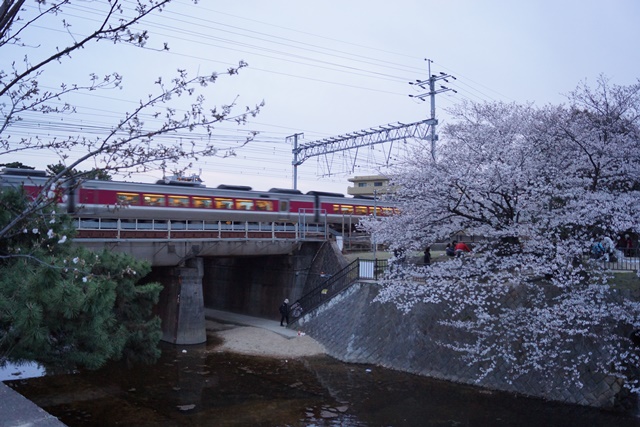 藤田八束：鉄道の旅、美しい夙川の桜と鉄道、美しい桜と鉄道、春爛漫桜と阪急電車、写真ベストポジション_d0181492_22184211.jpg