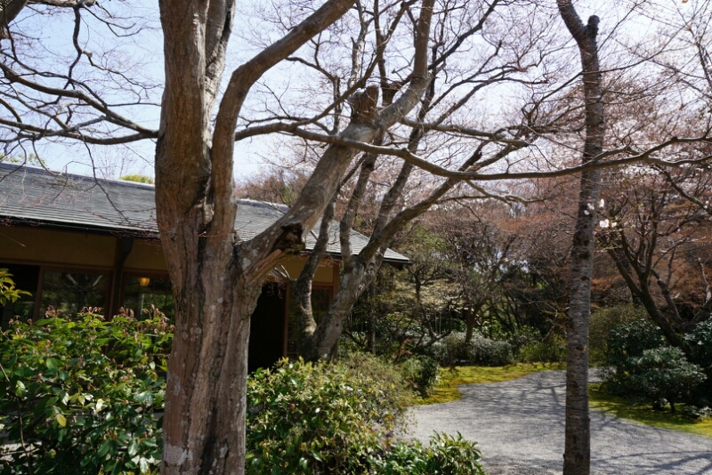 京都へお花見その②25.3_e0126094_20565792.jpg