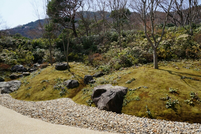 京都へお花見その②25.3_e0126094_2110534.jpg