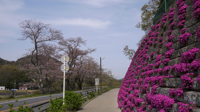 c0133096_2014192.jpg