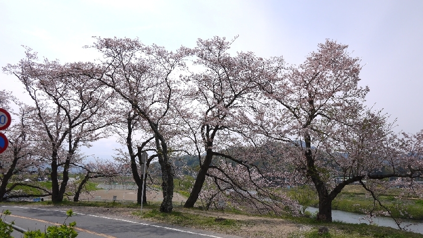 c0133096_2085989.jpg