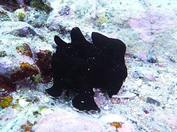 f0079996_14181100.jpg