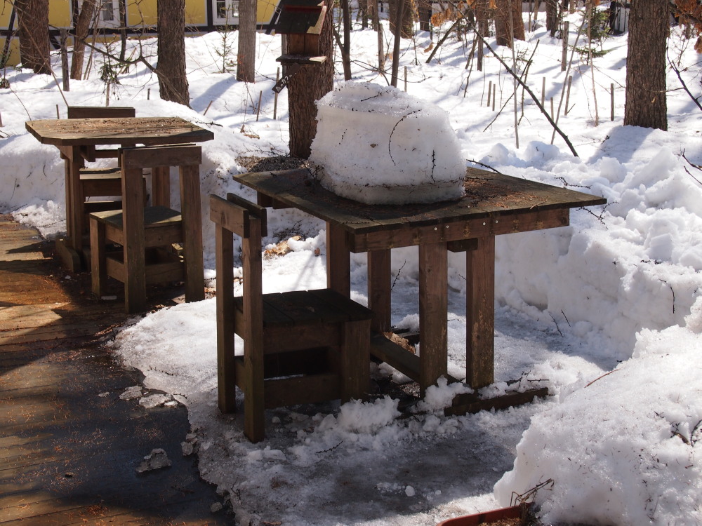 まだまだ雪が残る宿のまわり・・・快晴の新年度4月1日。_f0276498_16264922.jpg