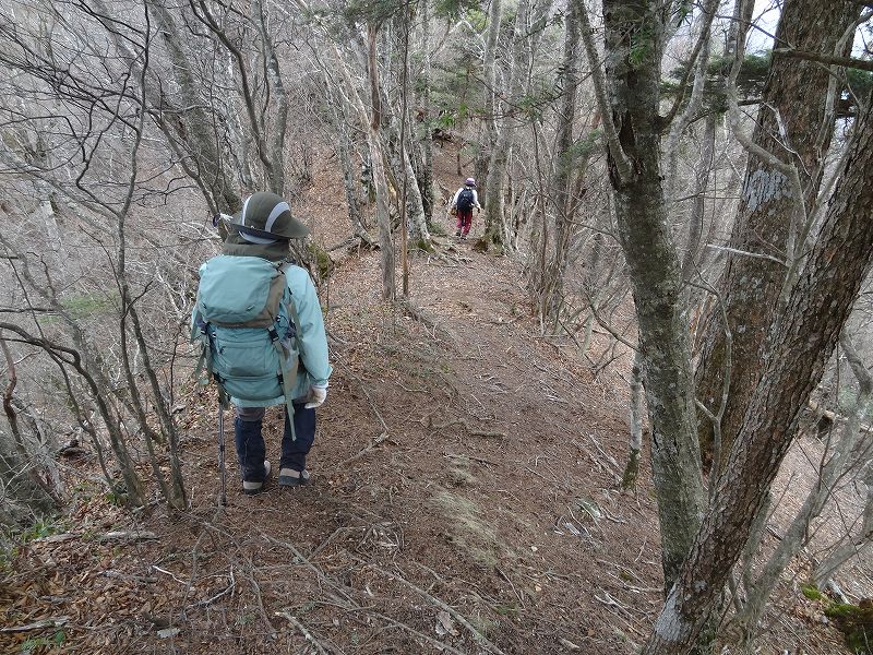 津志嶽　大屋内　鉄塔保線路　登山口から_b0124306_16572124.jpg